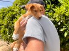 Update Balti 08 april 2026 (4)
