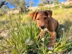 Update Balti 08 april 2026 (5)