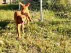 Update Balti 08 april 2026 (8)