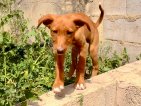 Update Balti 08 april 2026 (9)