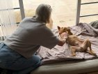 Update Simba 23-4-2026 (1)