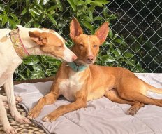 WhatsApp-Image-2026-03-04-at-23.02.26-2-e1773014287458