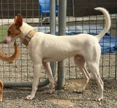 WhatsApp-Image-2026-03-04-at-23.02.26-4-e1773014335141