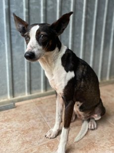 WhatsApp-Image-2026-03-21-at-20.11.50-1