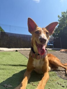 WhatsApp-Image-2026-03-29-at-22.50.18-768x1024