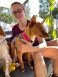 5jun26 Chilifox2