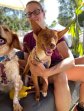 5jun26 Chilifox3