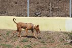 20jun26 Pablo8
