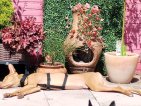 WhatsApp Image 2026-06-16 Pomelo tuin