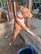Lola aug26