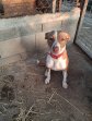 Lola aug26