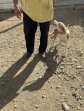 Kenia (5)