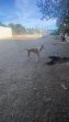 Kenia (9)