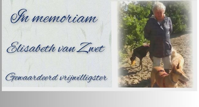 Een groot hart voor kleine pootjes Een groot hart voor kleine pootjes