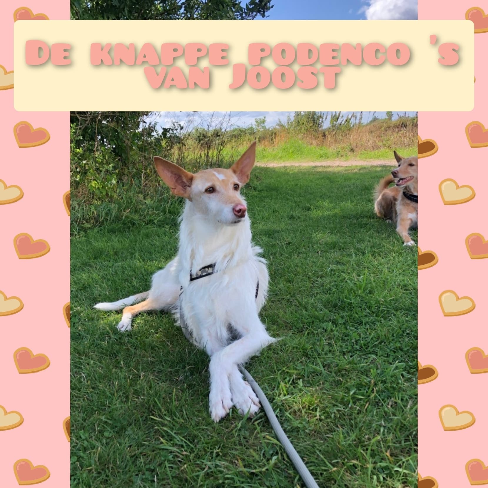 J2
