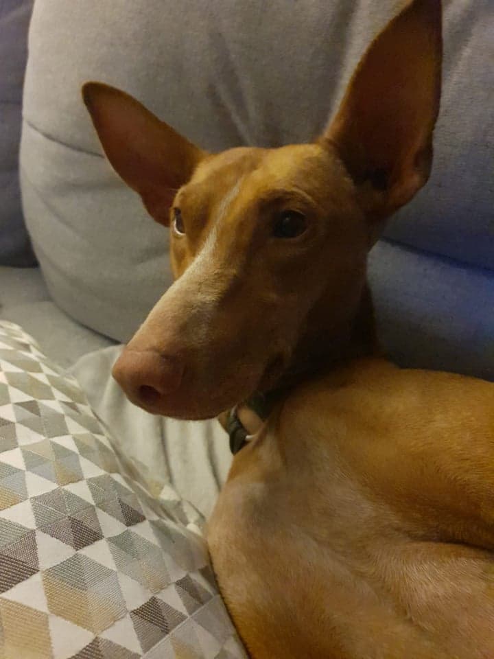 66243764 696027464201440 8225454733729464320 n