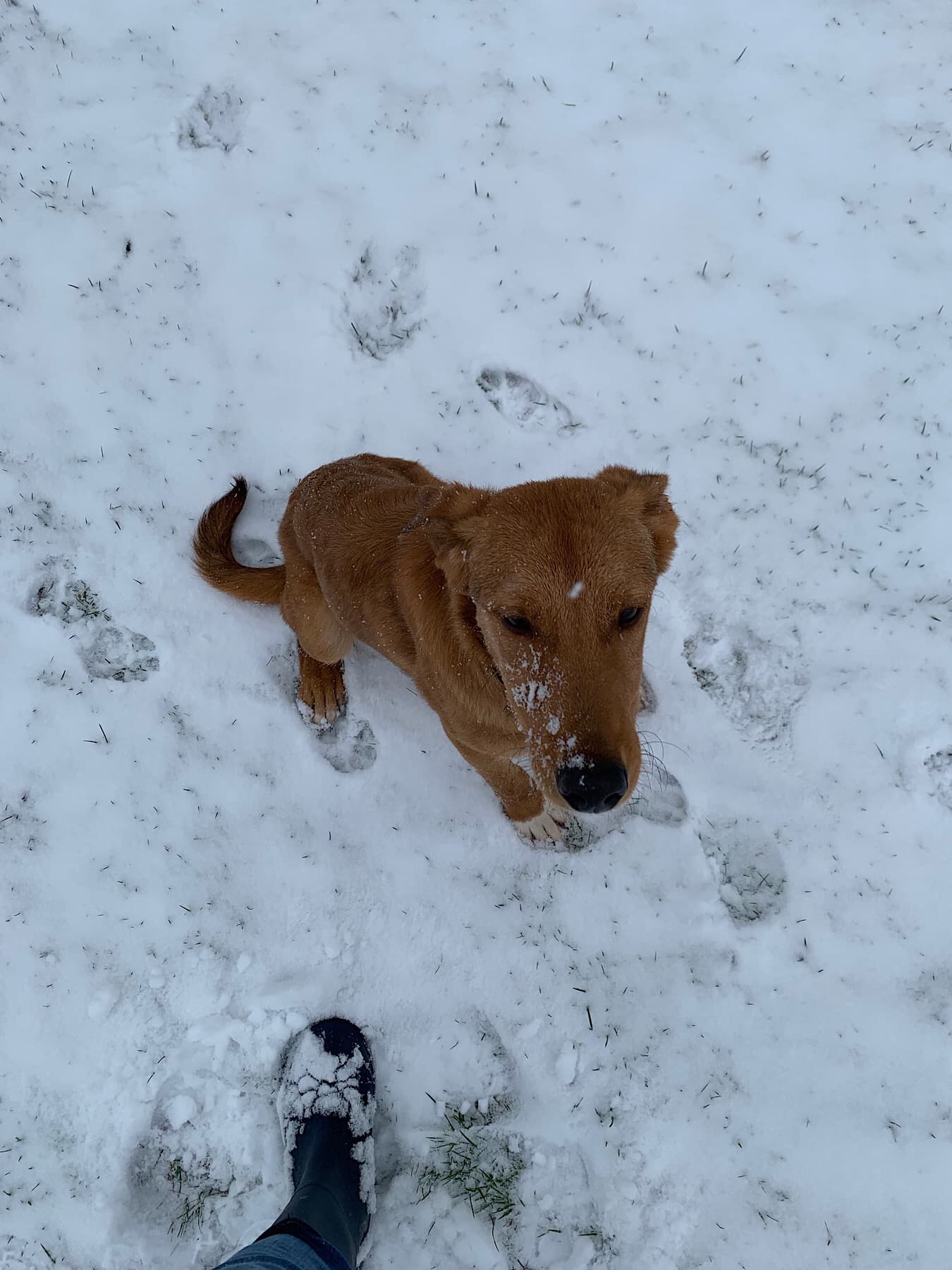 8E0793EF 2B46 41BC AFAE 2C8F42E2ED60