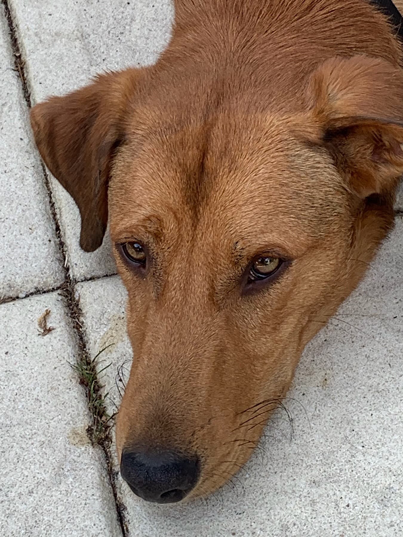 E2F5D9D5 3440 4CA5 8750 B194807144BF