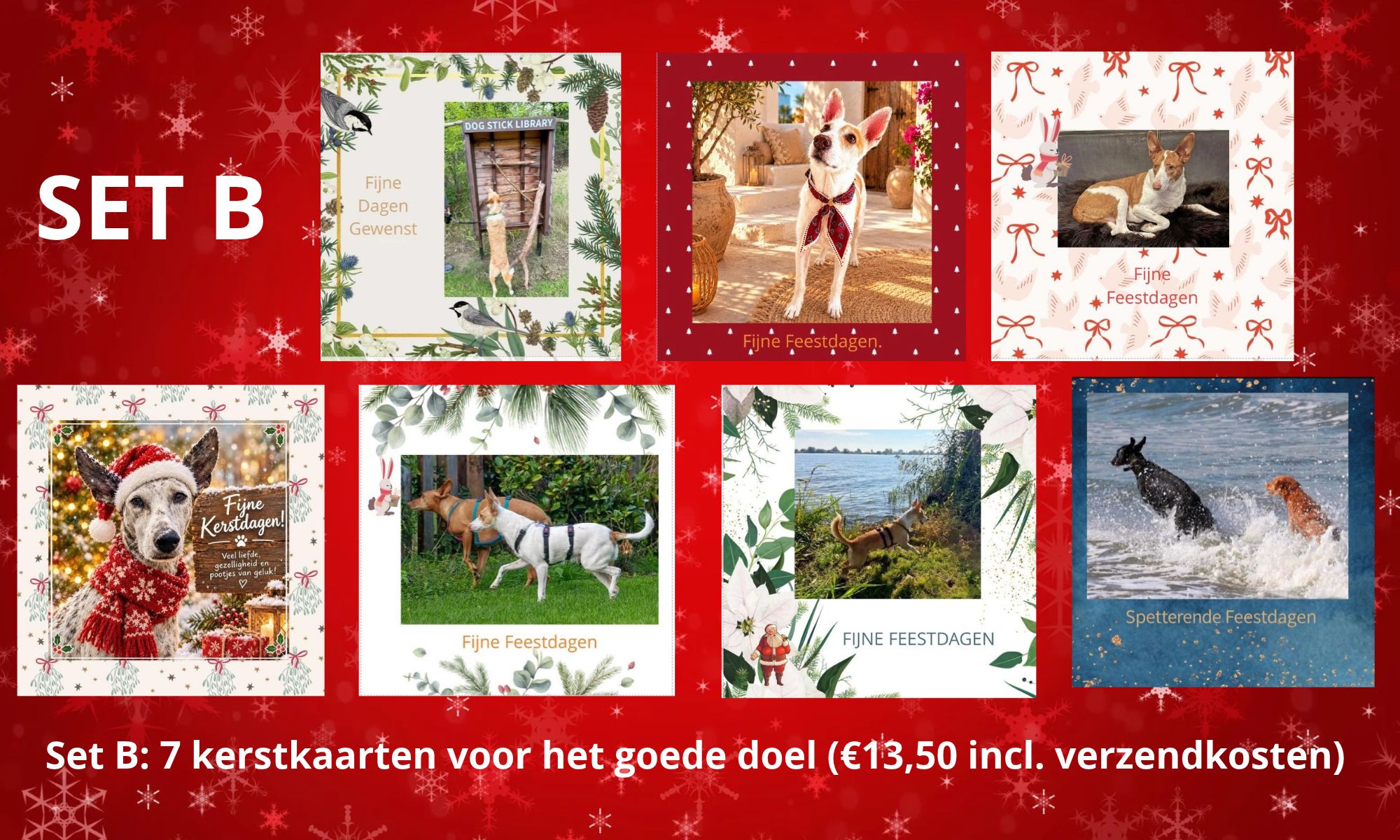 Collage SET B 2026
