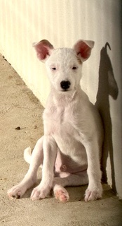 Foto 4 week 22