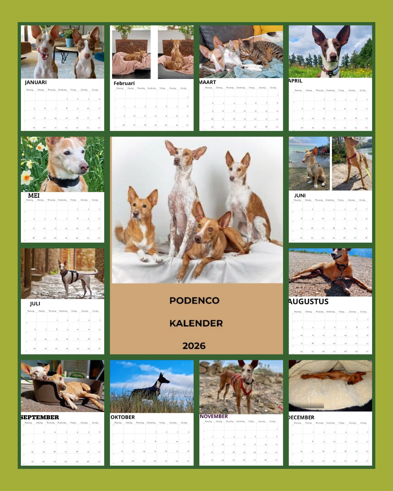 Kalender 2025