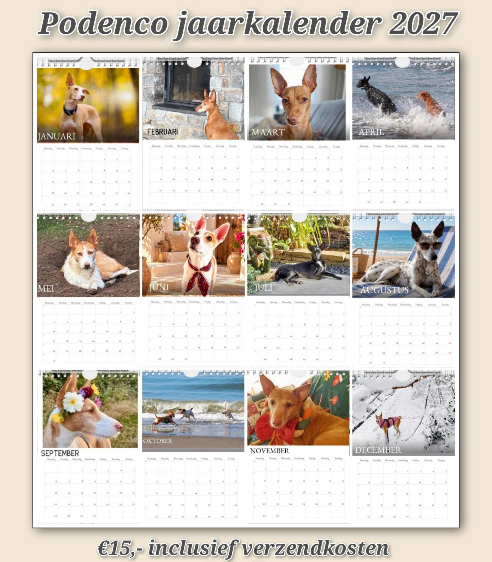Podencoworld kalender 1
