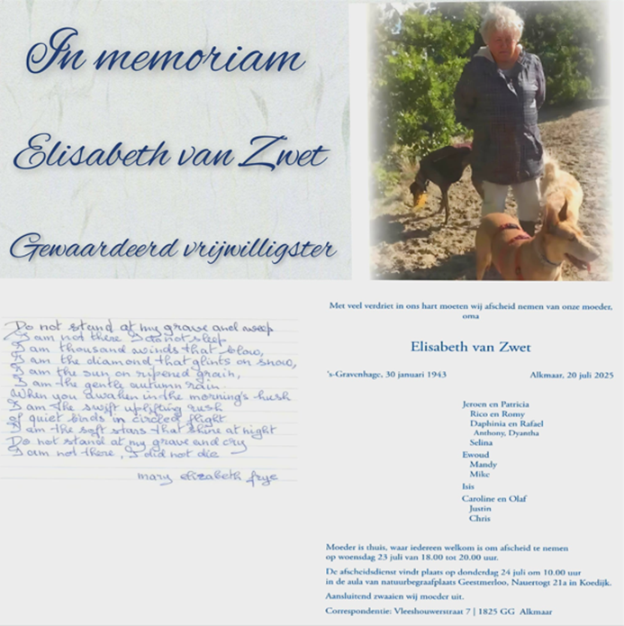 In_memoriam.jpeg