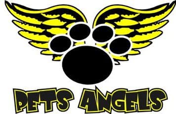 Pets Angels 2