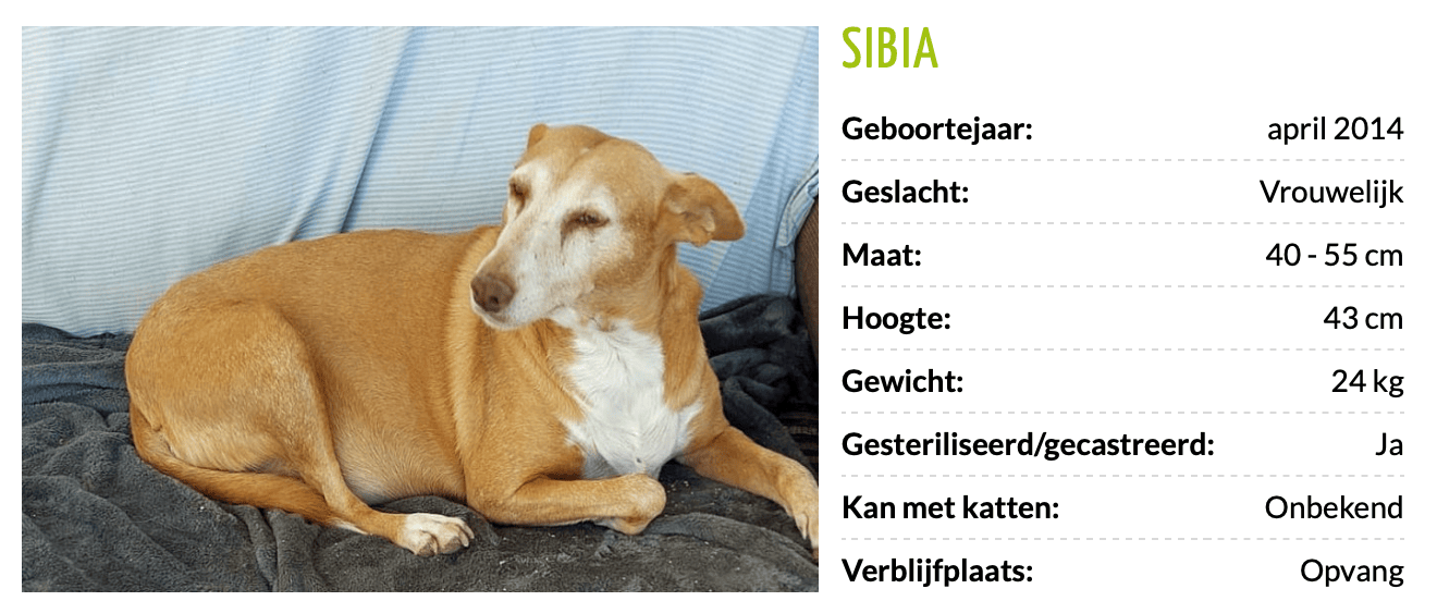 Schermafbeelding_2023-01-23_om_18.47.03.png