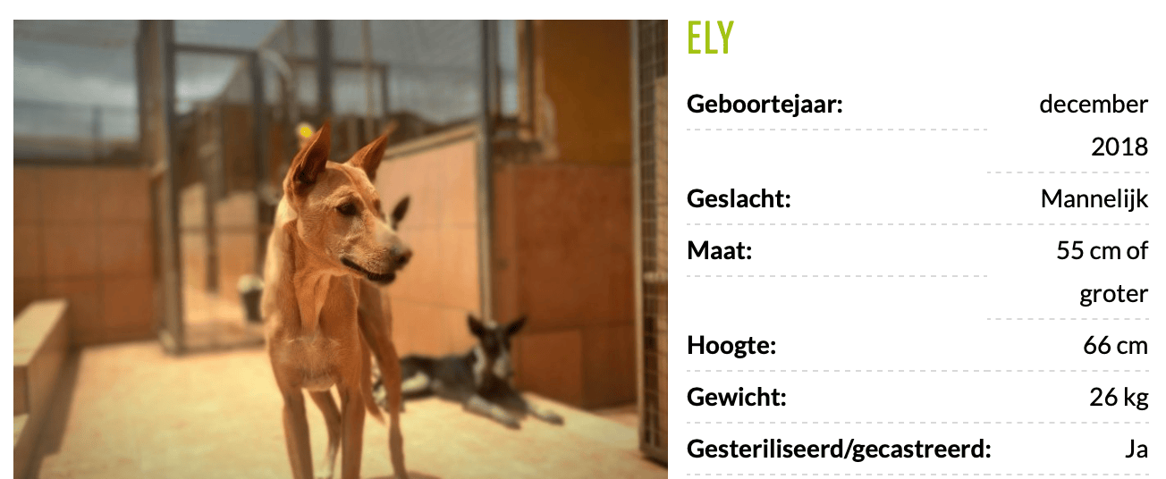 Schermafbeelding_2024-07-14_om_20.26.25.png