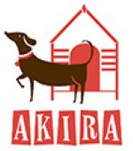 akira logo 2