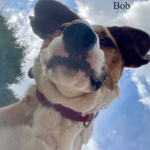 Foto 1e week Bob