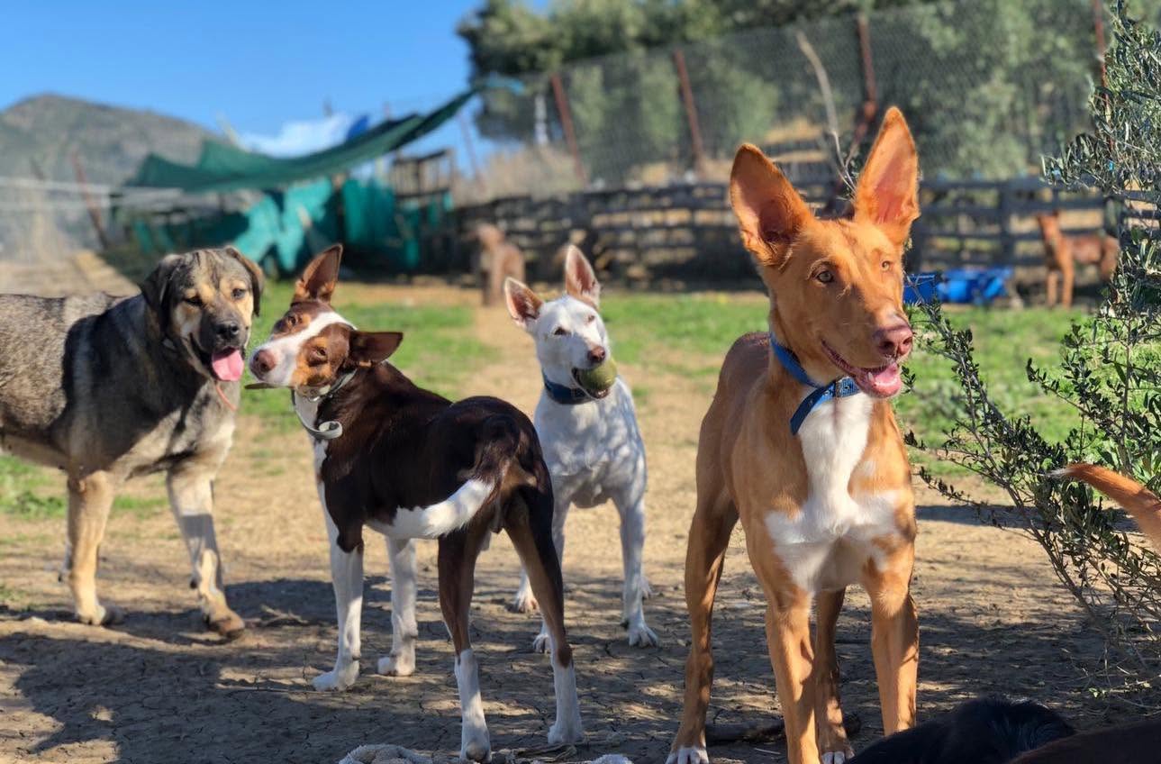 Foto La Huella 1