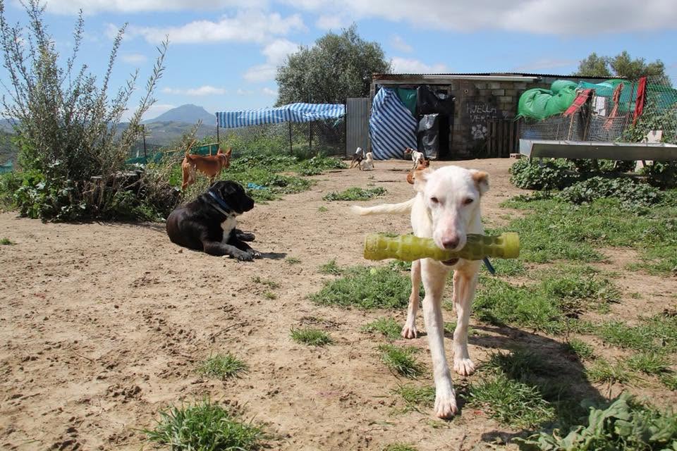 Foto La Huella 3
