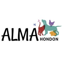 Logo Alma