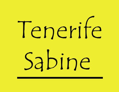 Logo Tenerife Sabine
