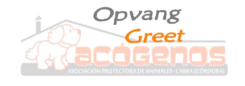 OpvangGreet Acógidos2