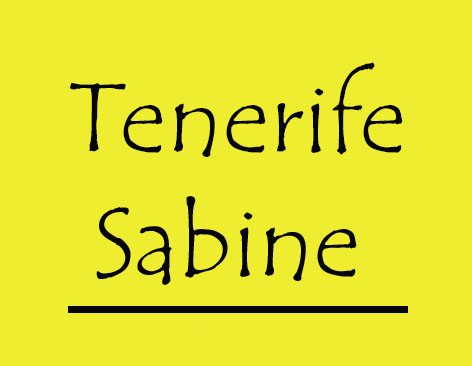 Tenerife Sabine