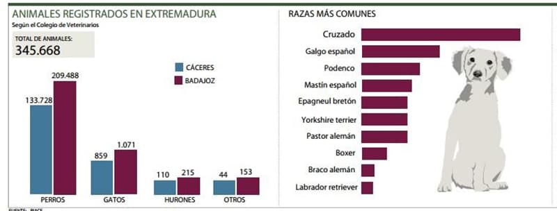extremadura 2017jpg.jpg
