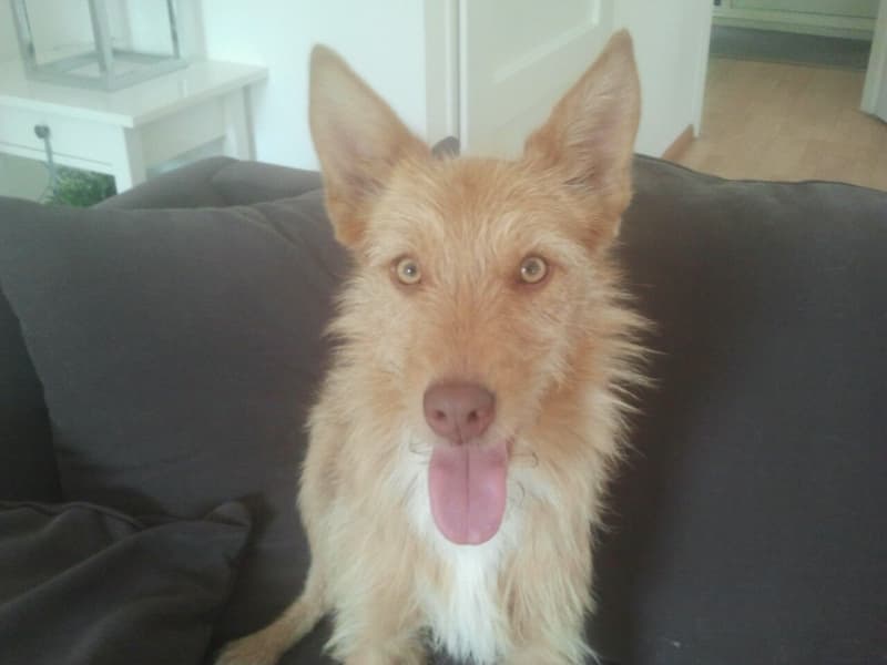 lola2