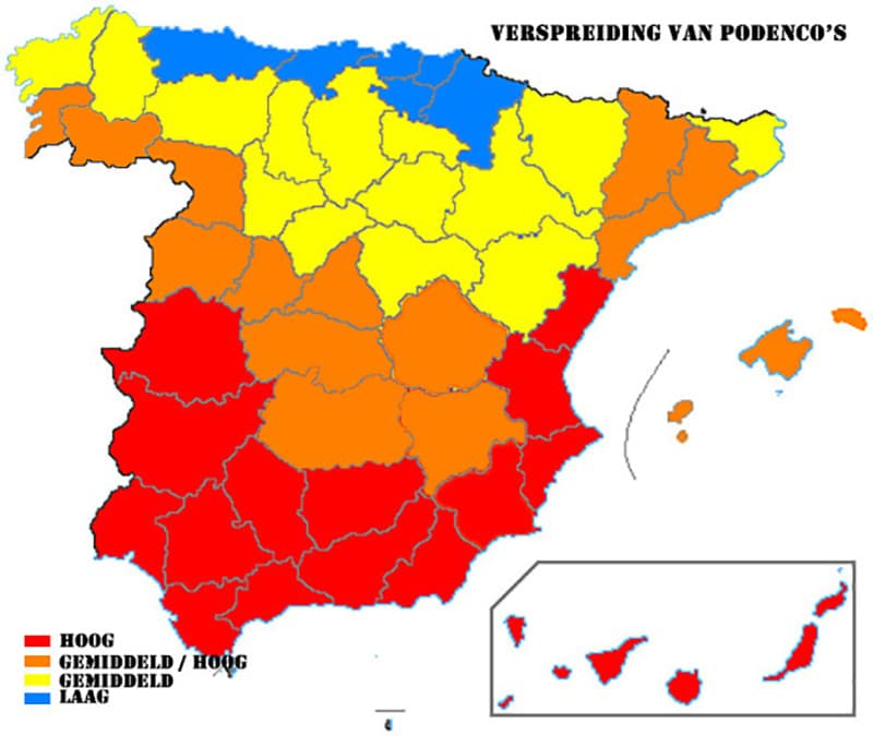 verspreiding van podencos spanje final.jpg